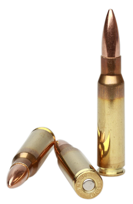 Lapua Cartridge .308Win, FMJBT 185gr D46