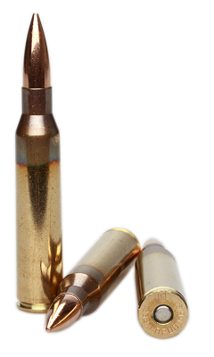 Lapua Cartridge .338Lapua Mag, FMJBT 250gr B408