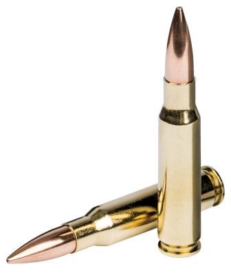 Federal cartridge .308Win., 168gr, Gold Medal