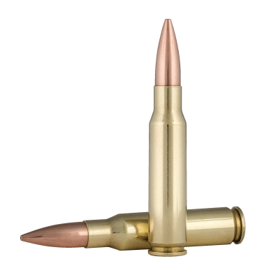 Federal cartridge .308Win., 175gr, Gold Medal