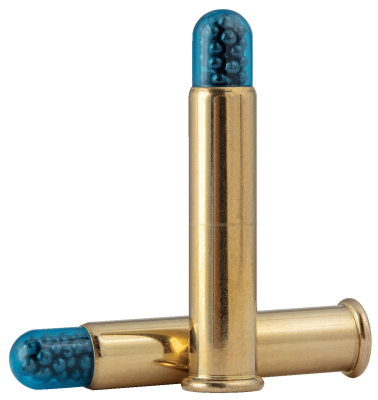 CCI KK-Patrone .22WMR, Shotshell No. 12, 52gr