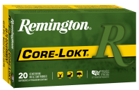 Remington cartouche .45-70Govt, SP 405gr