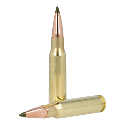 Remington cartouche .308Win, 172gr Speer Impact