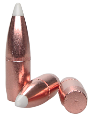 Nosler Projectile 9.3mm, AccuBond Sp 250g (50Pcs.)