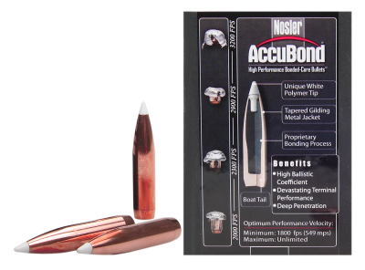 Nosler Geschosse .338, AccuBond Sp 300gr (50Pcs.)