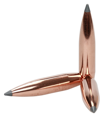 Nosler Projectile .30, ABLR Sp 210gr (100Pcs.)