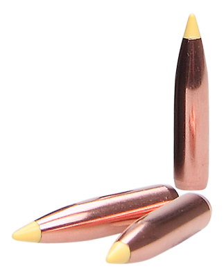 Nosler Projectile .270, BallisticTip 150gr(50Pcs.)