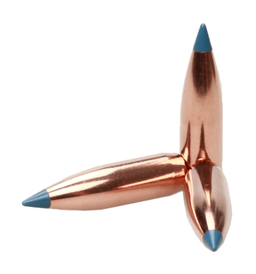 Nosler Projectile 8mm,BallisticTip 180gr (50Pcs.)