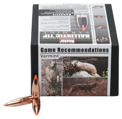 Nosler Projectile .22, BallisticTip 60gr (100Pcs.)