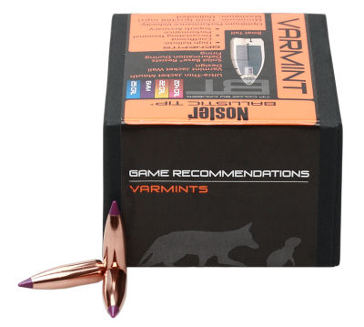 Nosler Projectile 6mm, BallisticTip 70gr (100Pcs.)