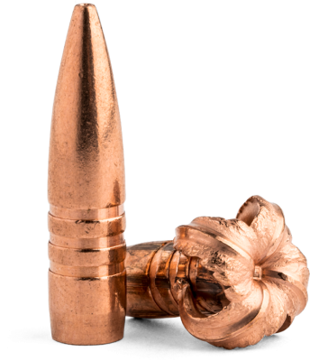 Barnes Projectile .270, TSX BT 130gr (50Stk.)