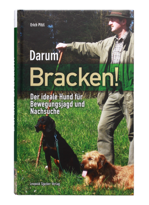 Darum Bracken!