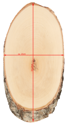 ABL Trophäenschild 13x18-23cm Birke für Rehbock