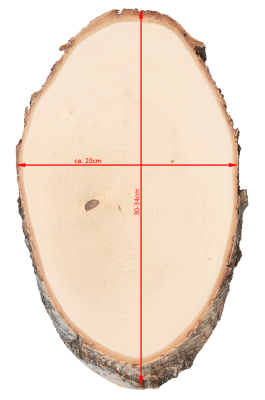 ABL Trophäenschild 20x30-34cm Birke für Hirsch