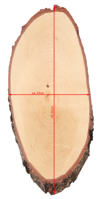 ABL Trophäenschild 23x45-50cm Birke für Hirsch