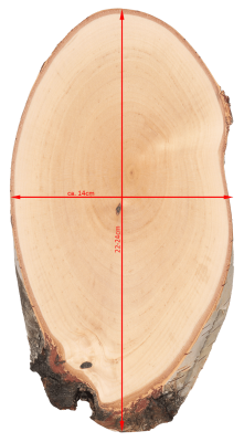 ABL Trophäenschild 14x22-24cm Birke für Rehbock