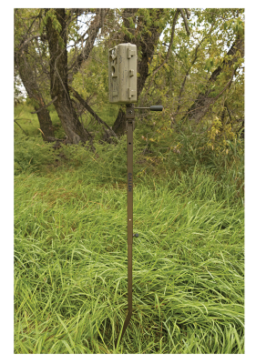 Allen Anywhere Trail Camera Holder, adj. 26-36"